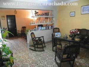 Room and saleta plant down