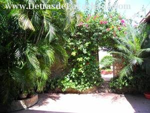 Entrance to the backyard from the inner courtyard