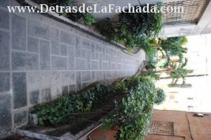 Calle15 # 505 entre  D y E , apto - 2  planta baja