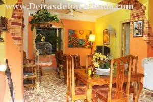 Living & Dining Room