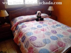 Compostela 306 entre obispo y obrapia