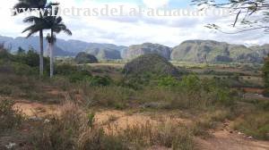 View from the horseback riding