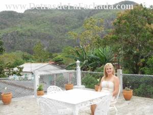 View from the terrace