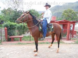 Pass on horseback with the gua specializing in the