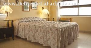 Calle 1era 252 e/Paseo y A