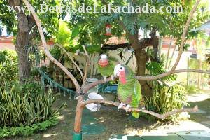 Avenida 8 # 3703 entre Paseo El Pardo y calle 39. Reparto Punta Gorda.