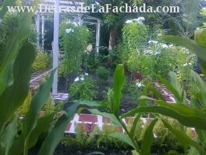 Calle 1ro de abril #55