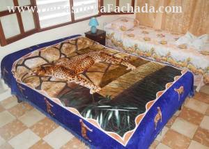 Calle Flor Crombet 67 entre 24 de Febrero y 10 de Octubre.