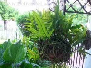 Calle 25 nº 905 entre Paseo y A