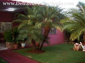 Ana ma.S. Pisicina Playa sta fe