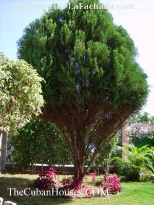 Guanabo, Playas del Este de La Habana