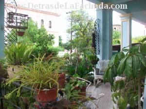 Calle 25 nº 905 entre Paseo y A