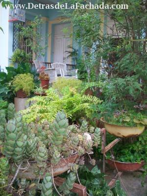 Calle 25 nº 905 entre Paseo y A