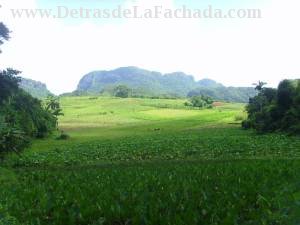 Calle Orlando Nodarse # 1-2 entre Pasaje B y calle Adela Azcuy