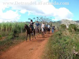 Calle Orlando Nodarse # 1-2 entre Pasaje B y calle Adela Azcuy