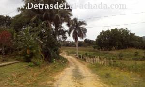 Vistas desde la casa