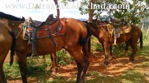 Calle Salvador Cisneros Este, Pasaje A-1 # 7 e/ calle B-1 y arroyo del Duelo