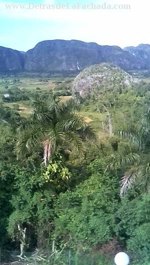 Calle 3ra #14 entre 2da y 4ta barrio la colchoneria ,viñales pinar del río ,cuba ,cp 22400
