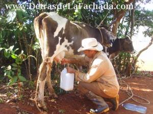 Calle Orlando Nodarse # 1-2 entre Pasaje B y calle Adela Azcuy