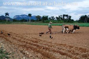 Calle Orlando Nodarse # 1-2 entre Pasaje B y calle Adela Azcuy