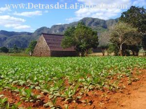Calle Orlando Nodarse # 1-2 entre Pasaje B y calle Adela Azcuy