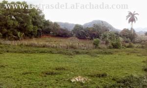 Vistas desde la casa