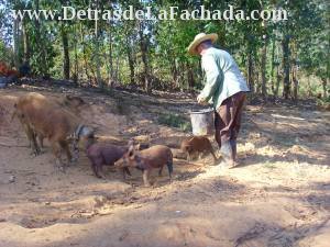 Calle Orlando Nodarse # 1-2 entre Pasaje B y calle Adela Azcuy