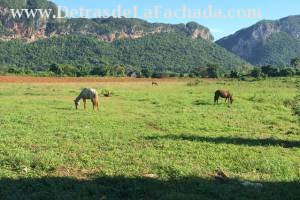 Salvador cisnero nro 8-B despues del policlinico