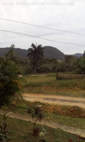 Vistas desde la casa