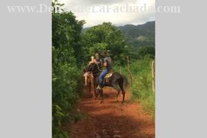 Salvador cisnero nro 8-B despues del policlinico