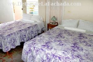 Calle Lirio Blanco  # 255 entre Santo Domingo y San Procopio.