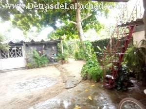 Carretera del Jibaro/ frente a Frutas Selectas