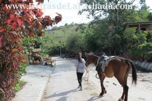 Calle Nueva # 171 entre calle Real del Jigüe y Campo.