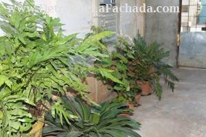 Calle B # 12 A (altos) entre 1ra y Línea. Reparto La Purísima.