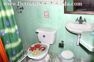 Calle Desengaño # 125 entre callejón del Aguacate y Reforma.