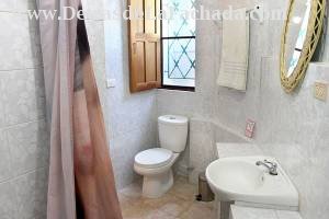 Calle Desengaño # 167 entre calle Cruz Verde y callejón del Aguacate.