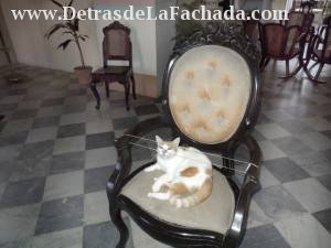 Alameda 153 e/c Real del Jigue y Cristo.