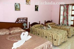 Calle Cruz Verde # 43 entre calle Desengaño y calle Rosario.