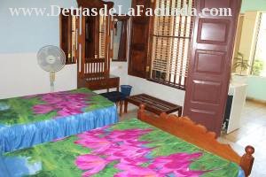 Calle San Procopio 216 entre calle Borrell y Frank País.