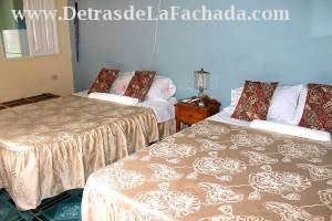 Calle Lirio Blanco  # 255 entre Santo Domingo y San Procopio.