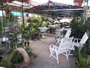 Calle i, 109, entre 3ª y avenida de cespedes. Reparto Sueño