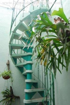 It grows into terrace