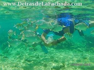 Calle Ayllon #7707/ Contreras y Manzano