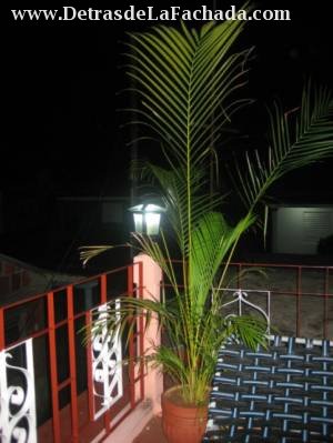 The roof terrace by night