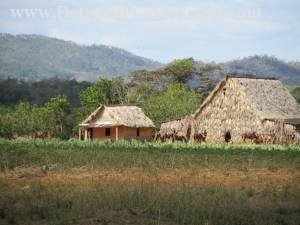 Excursiones a caballo