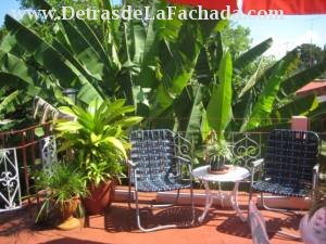 Terrace above the roof