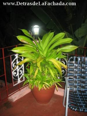The roof terrace by night