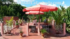 Roof terrace with view to the mountains