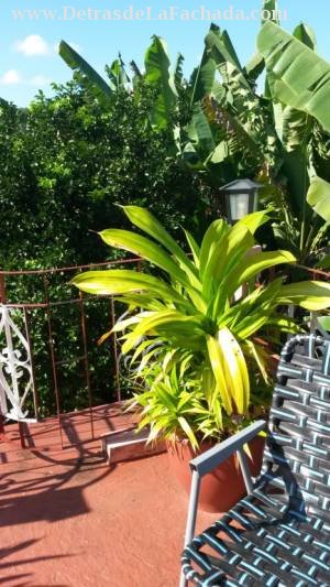 Terrace above the roof