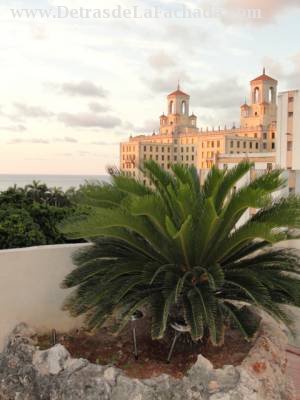 Views from the terrace